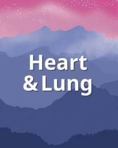 Heart & Lung - The Dock
