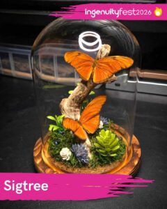 Sigtree - IngenuityFest Vendor 2026 - Handmade authentic butterflies taxidermied in a glass display on a branch with plants.